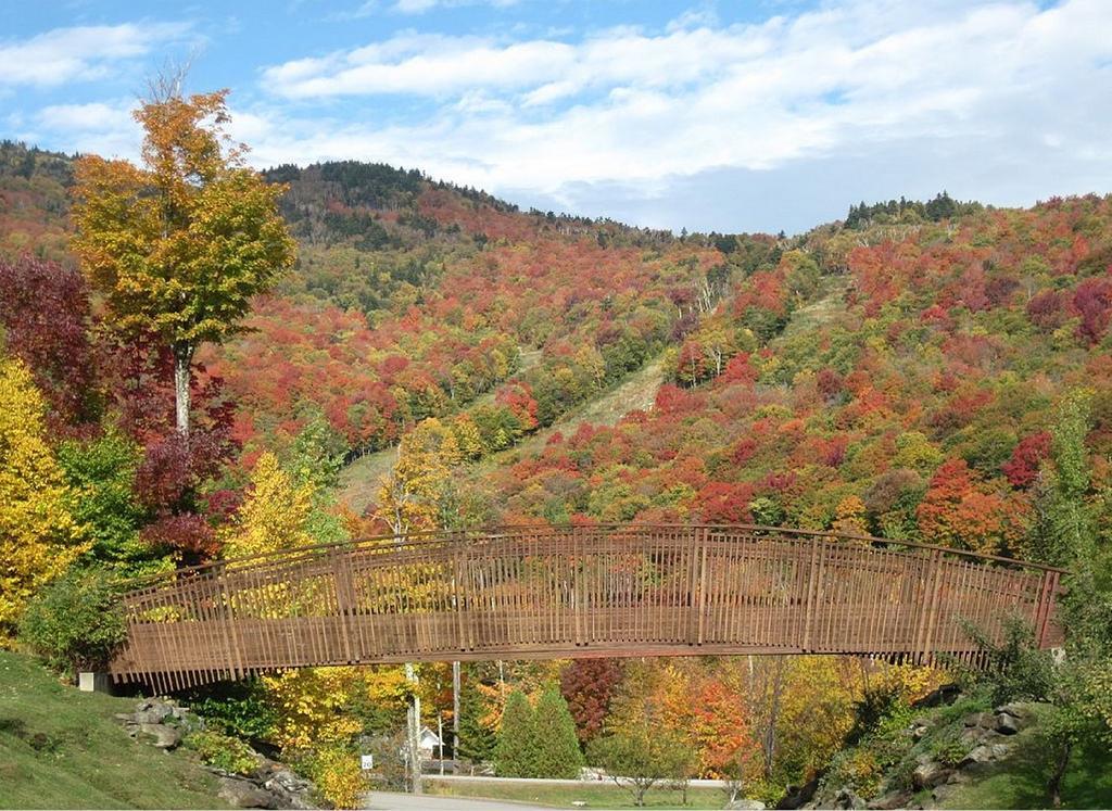 Ski In/Out Trailside Townhome Killington Exteriér fotografie