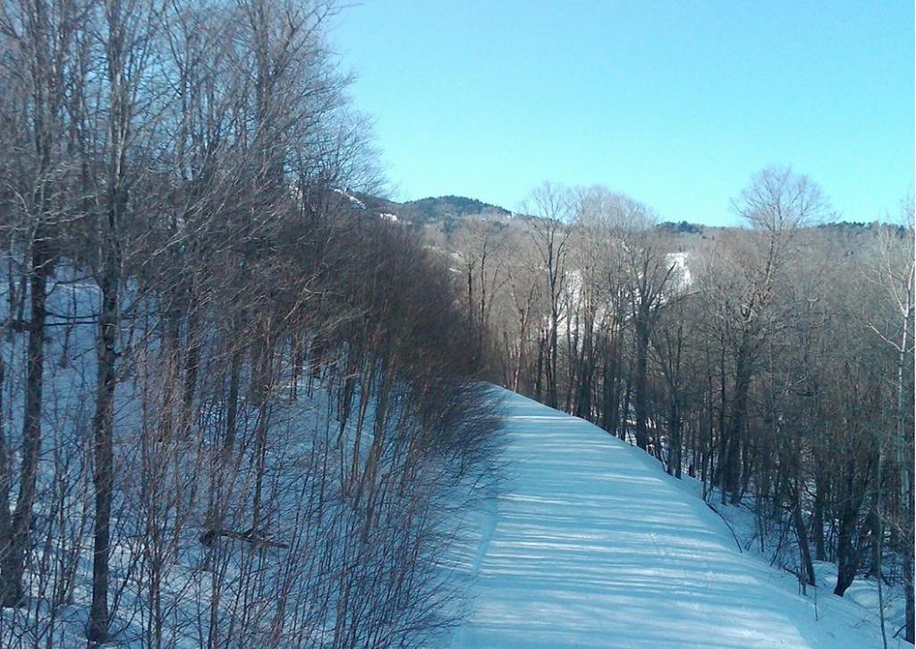Ski In/Out Trailside Townhome Killington Exteriér fotografie